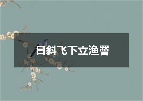 日斜飞下立渔罾