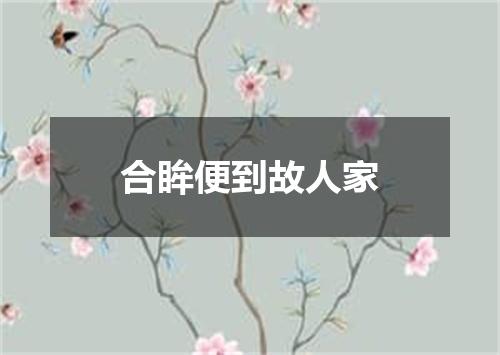 合眸便到故人家