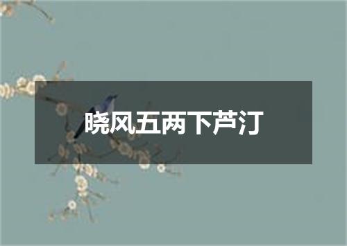 晓风五两下芦汀