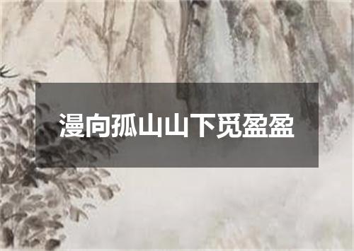 漫向孤山山下觅盈盈