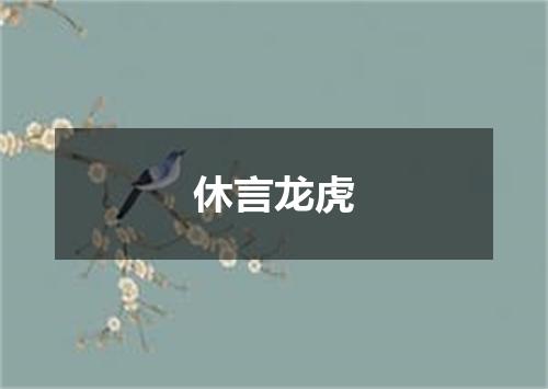 休言龙虎