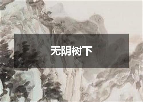 无阴树下