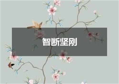 智断坚刚