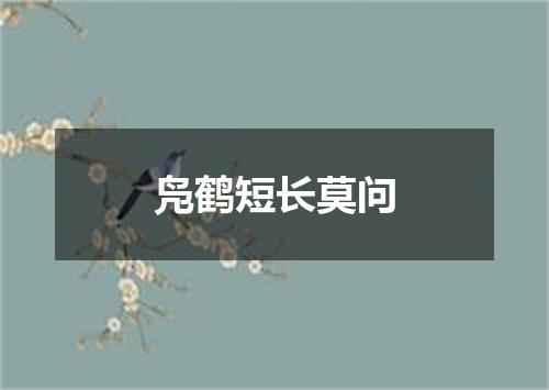 凫鹤短长莫问