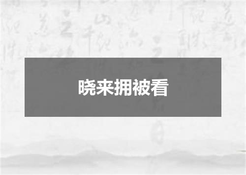 晓来拥被看