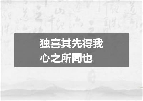 独喜其先得我心之所同也