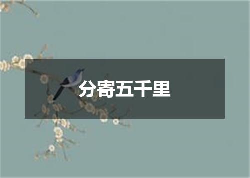 分寄五千里