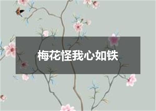 梅花怪我心如铁