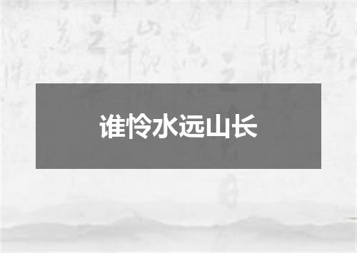 谁怜水远山长