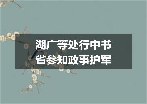 湖广等处行中书省参知政事护军