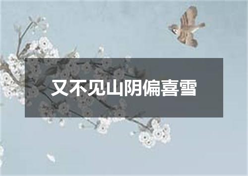 又不见山阴偏喜雪