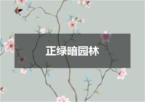 正绿暗园林