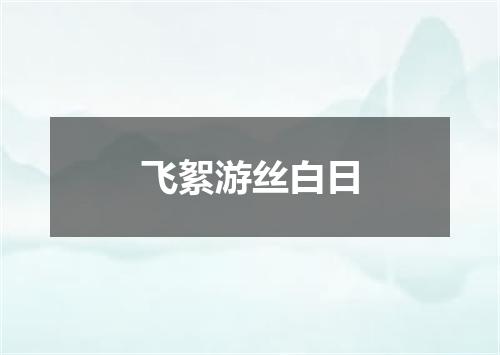 飞絮游丝白日