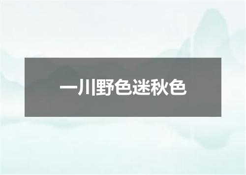 一川野色迷秋色