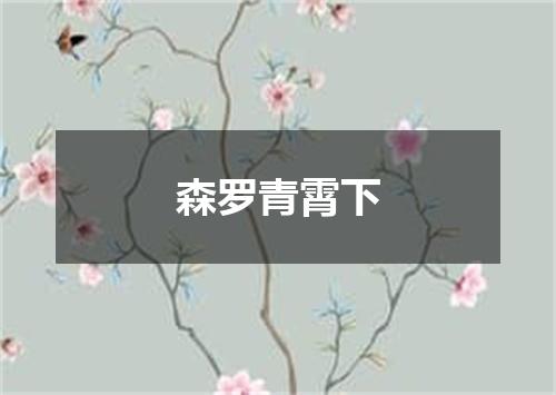 森罗青霄下