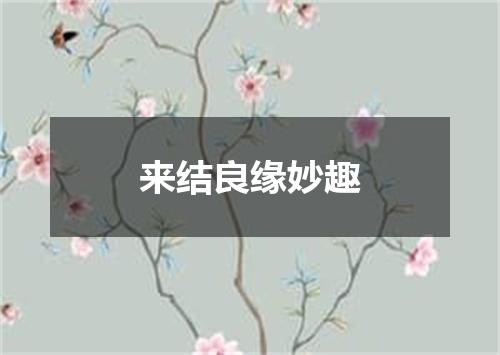 来结良缘妙趣