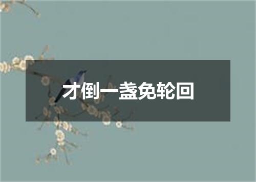 才倒一盏免轮回