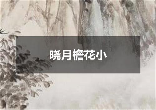 晓月檐花小