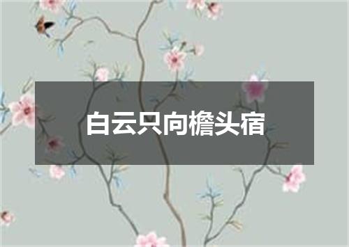 白云只向檐头宿