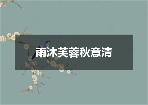 雨沐芙蓉秋意清