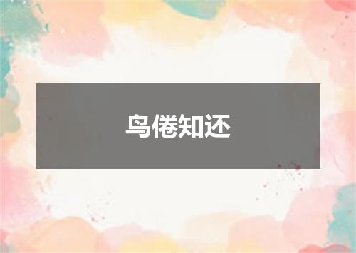 鸟倦知还