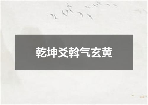 乾坤爻斡气玄黄