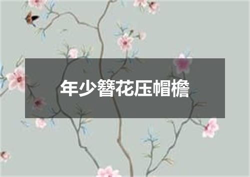 年少簪花压帽檐