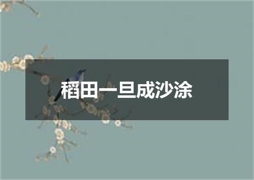 稻田一旦成沙涂