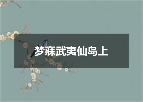 梦寐武夷仙岛上