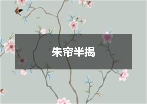 朱帘半揭