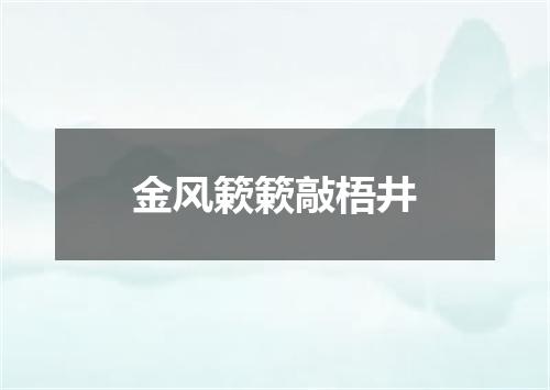 金风簌簌敲梧井