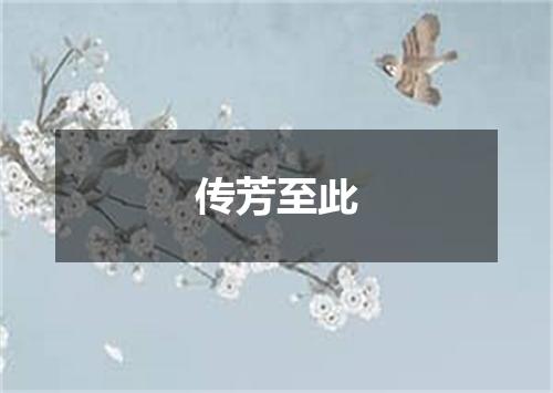 传芳至此