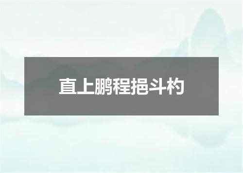 直上鹏程挹斗杓