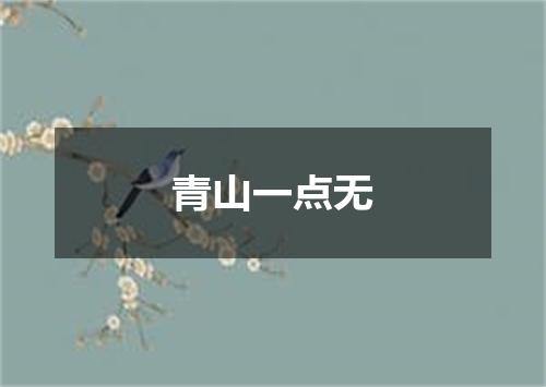 青山一点无