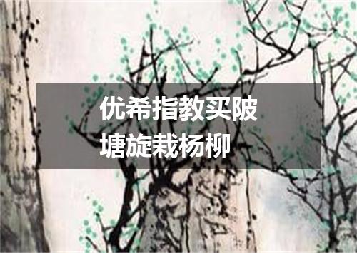 优希指教买陂塘旋栽杨柳