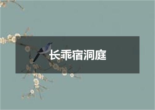 长乖宿洞庭