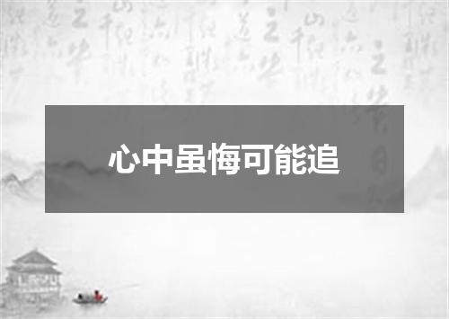 心中虽悔可能追