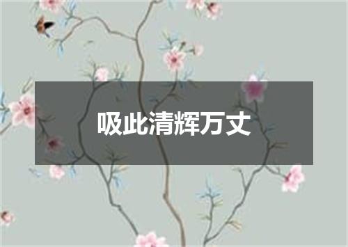 吸此清辉万丈