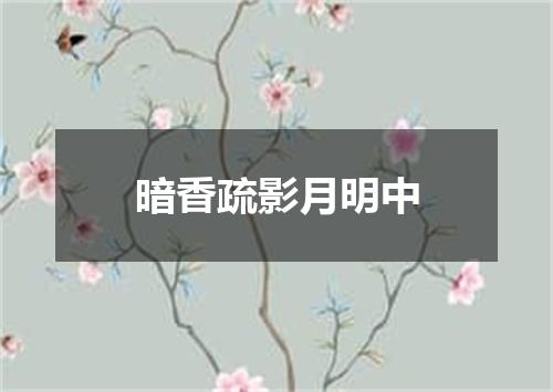 暗香疏影月明中