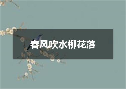 春风吹水柳花落