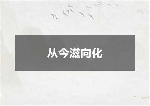 从今滋向化