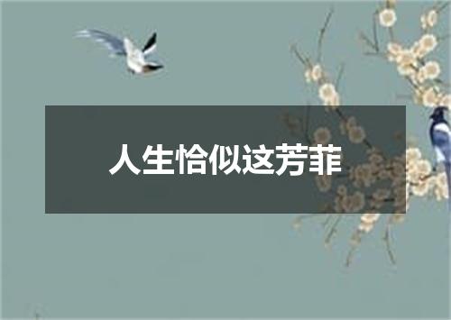 人生恰似这芳菲