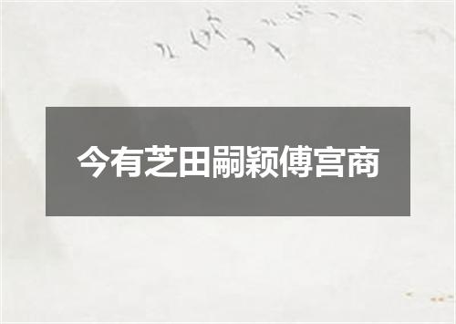 今有芝田嗣颖傅宫商