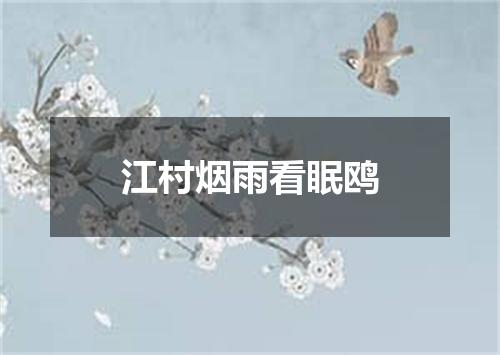 江村烟雨看眠鸥