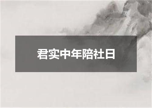 君实中年陪社日