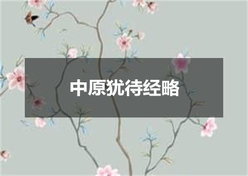 中原犹待经略