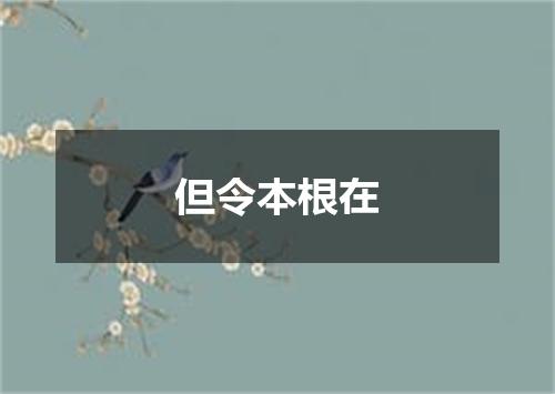 但令本根在