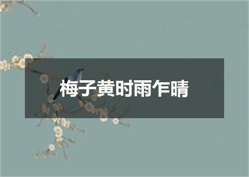 梅子黄时雨乍晴