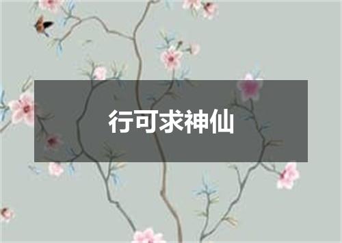 行可求神仙