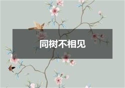 同树不相见